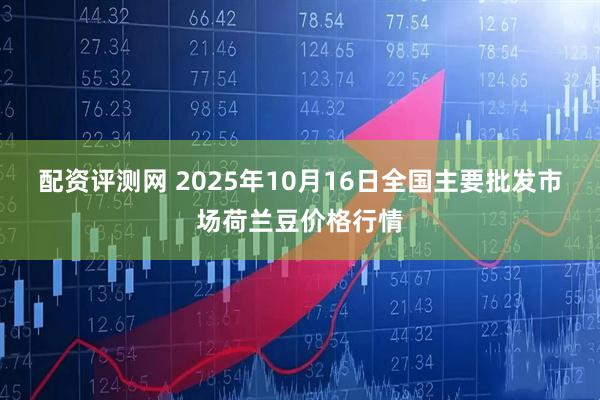 配资评测网 2025年10月16日全国主要批发市场荷兰豆价格行情
