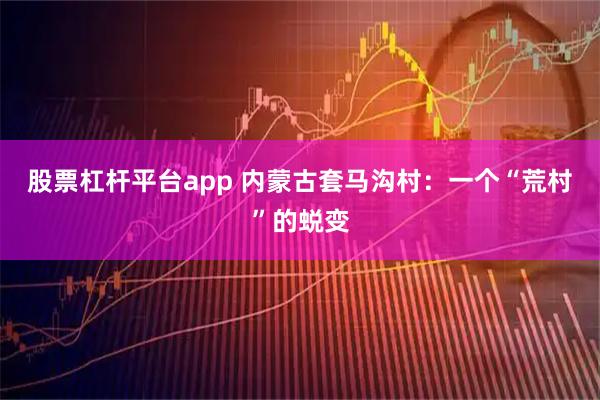 股票杠杆平台app 内蒙古套马沟村：一个“荒村”的蜕变