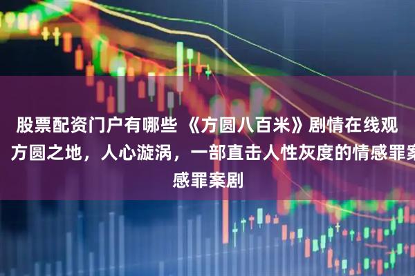 股票配资门户有哪些 《方圆八百米》剧情在线观看：方圆之地，人心漩涡，一部直击人性灰度的情感罪案剧