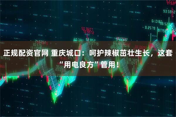 正规配资官网 重庆城口：呵护辣椒茁壮生长，这套“用电良方”管用！